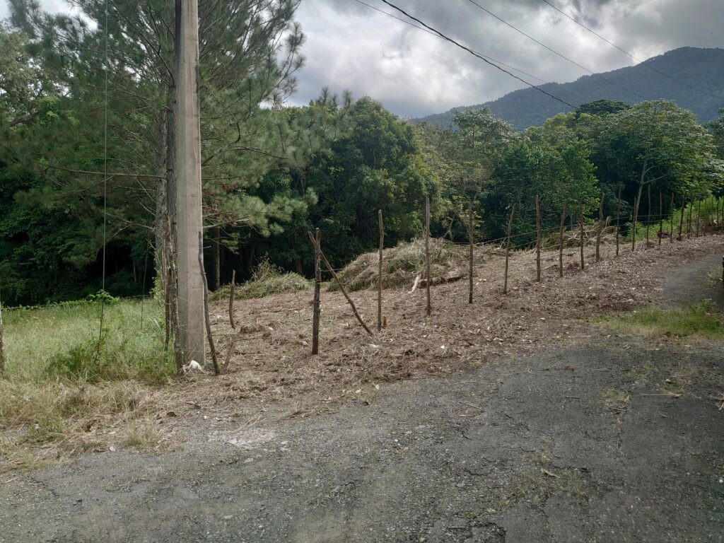 Entorno montañoso y arbolado del solar en Sabaneta, Jarabacoa