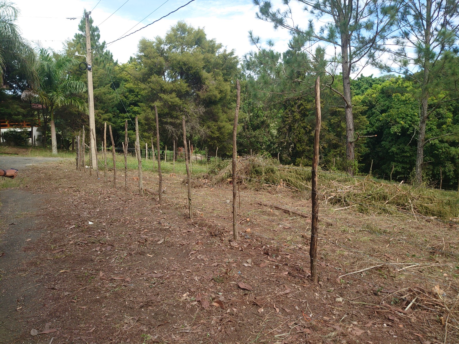 Terreno plano y arbolado del solar en Sabaneta, Jarabacoa