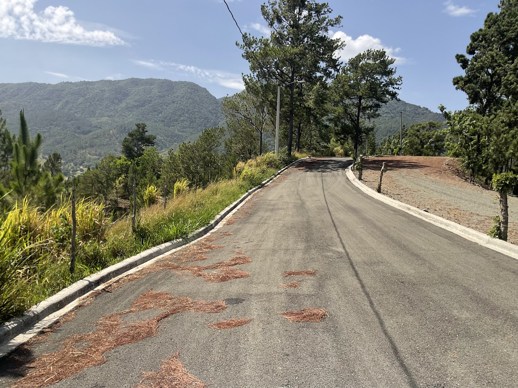 Vía de acceso y entorno natural de Colinas del Yaque